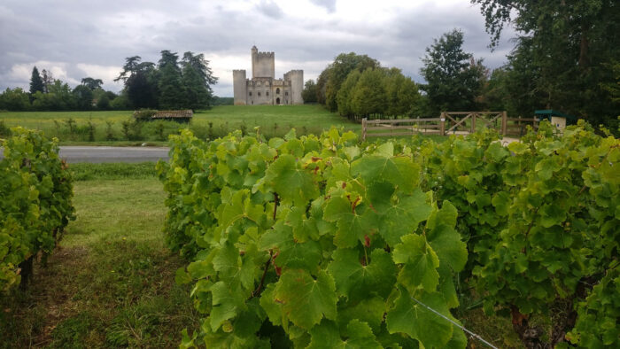 Sauternes tour - Image 1