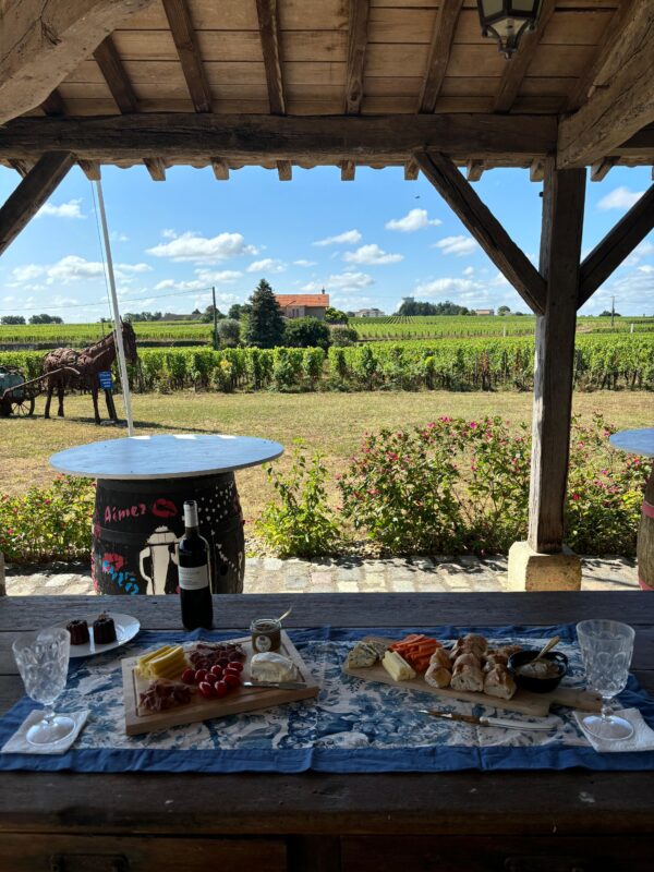 WhatsApp Image 2026-01-09 at 20.57.57