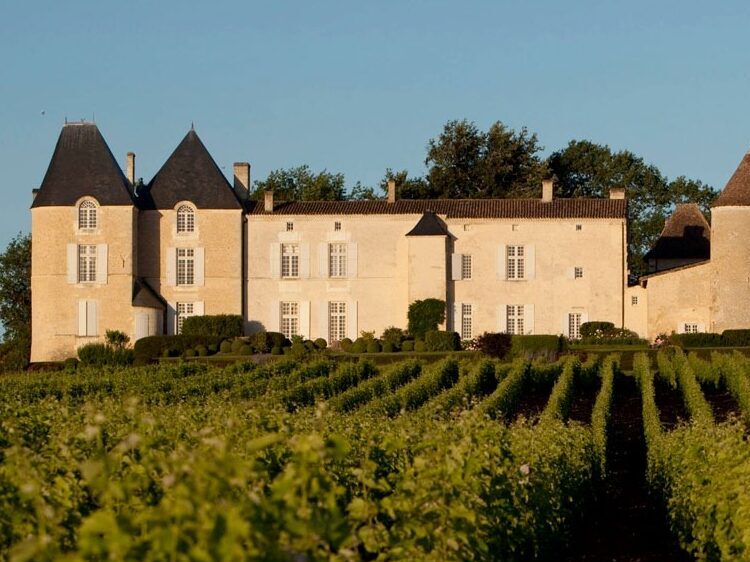 Sauternes Wine Tour - Bordeaux Wine Tours